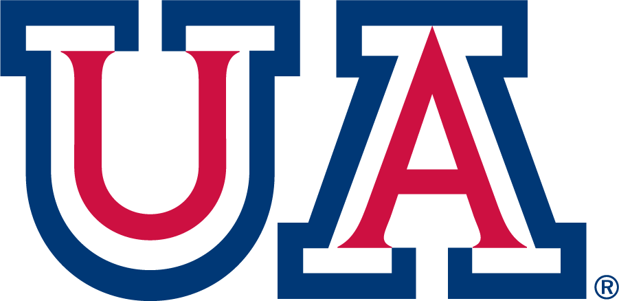 Arizona Wildcats 1989-2011 Secondary Logo v2 diy DTF decal sticker